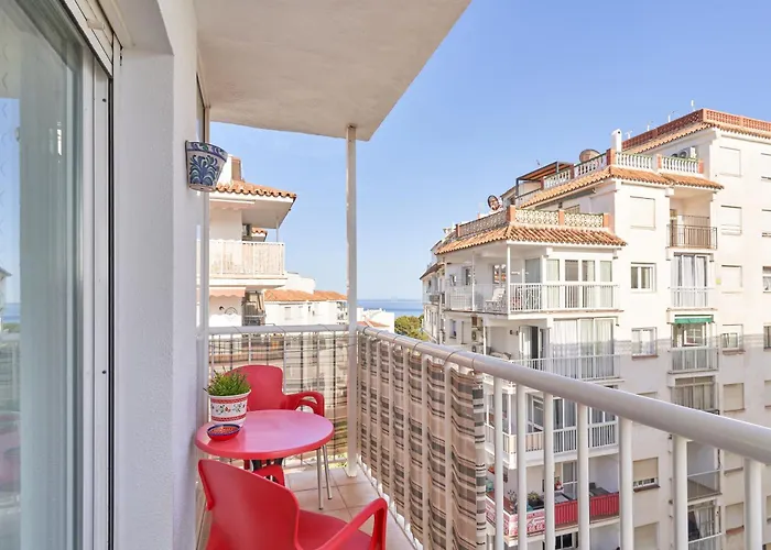 Sol Marengo Torrecilla *